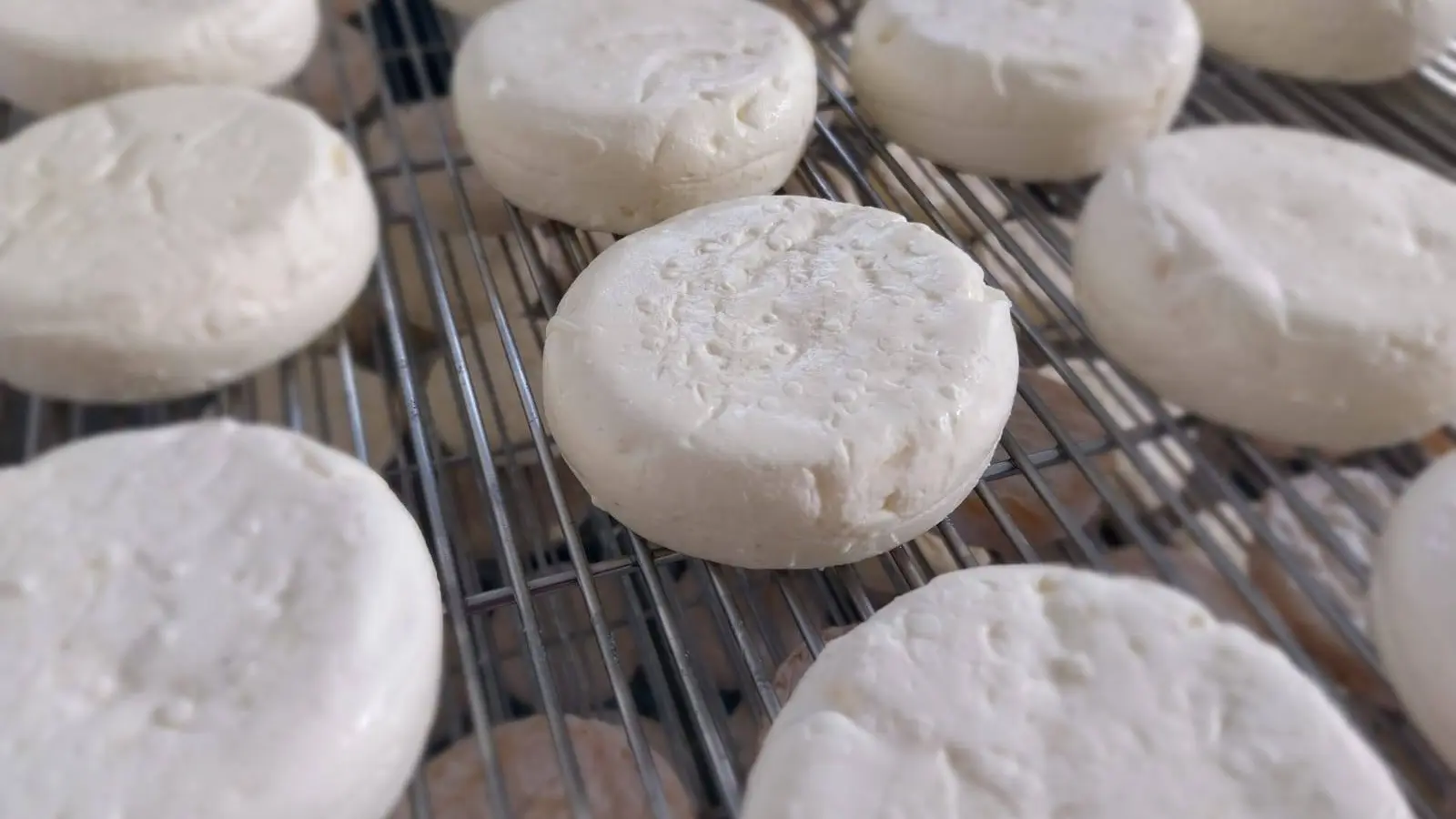 Les Fromages au lait de vaches