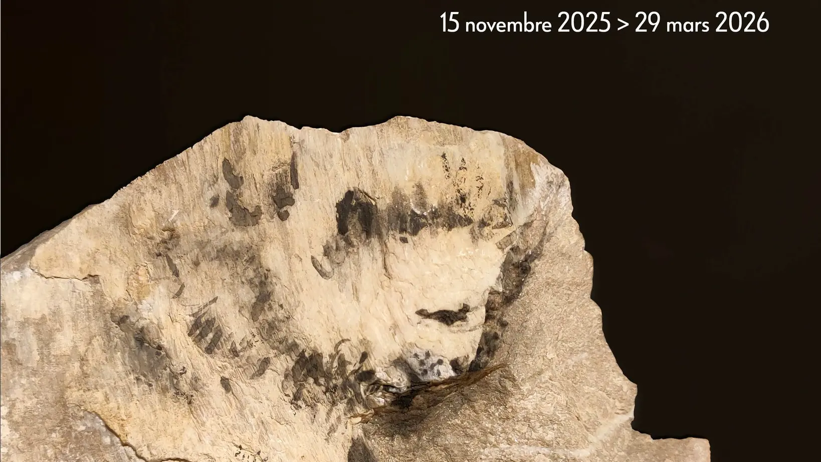 Les pierres qui parlent