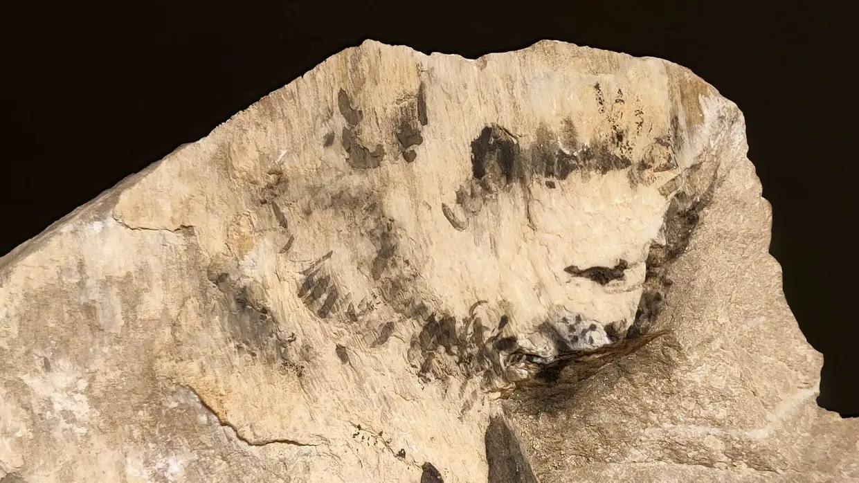 Les pierres qui parlent