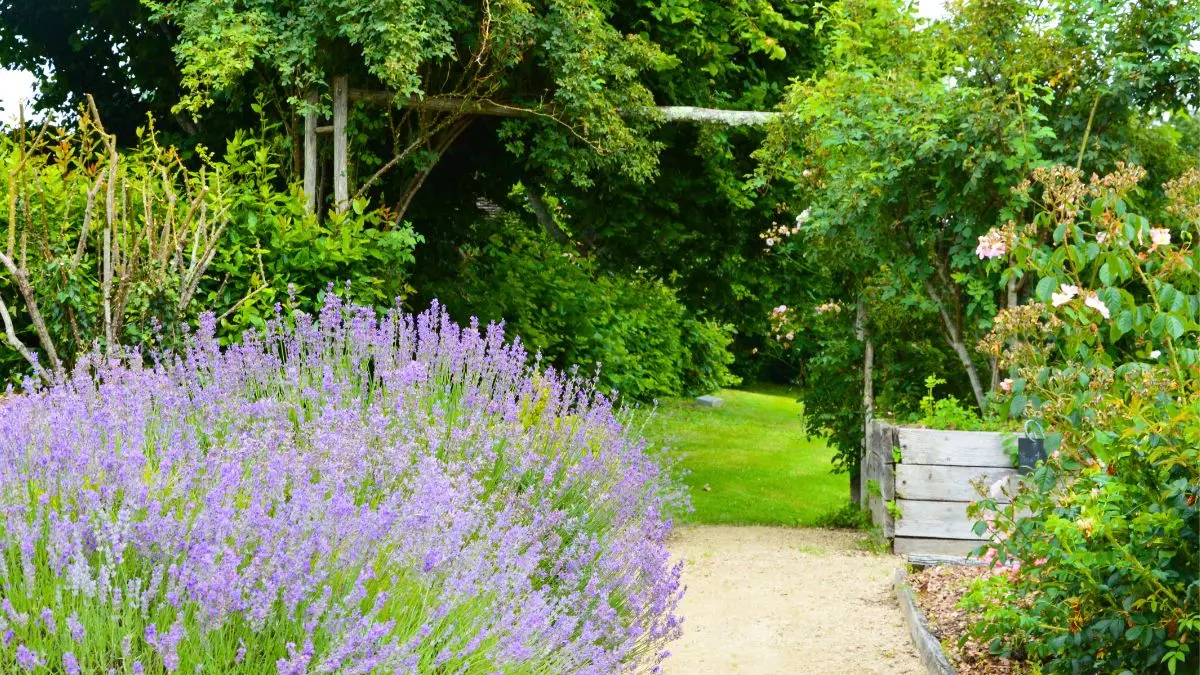 Jardin de l'An Mil à nos jours