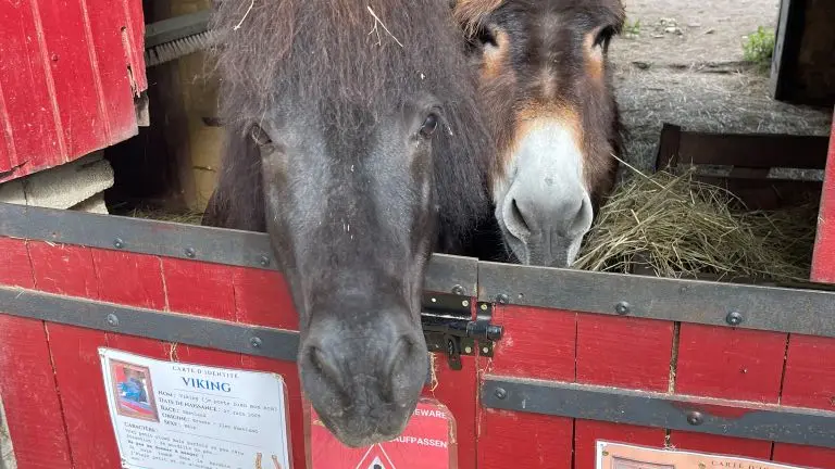 Chateau de Montaigne