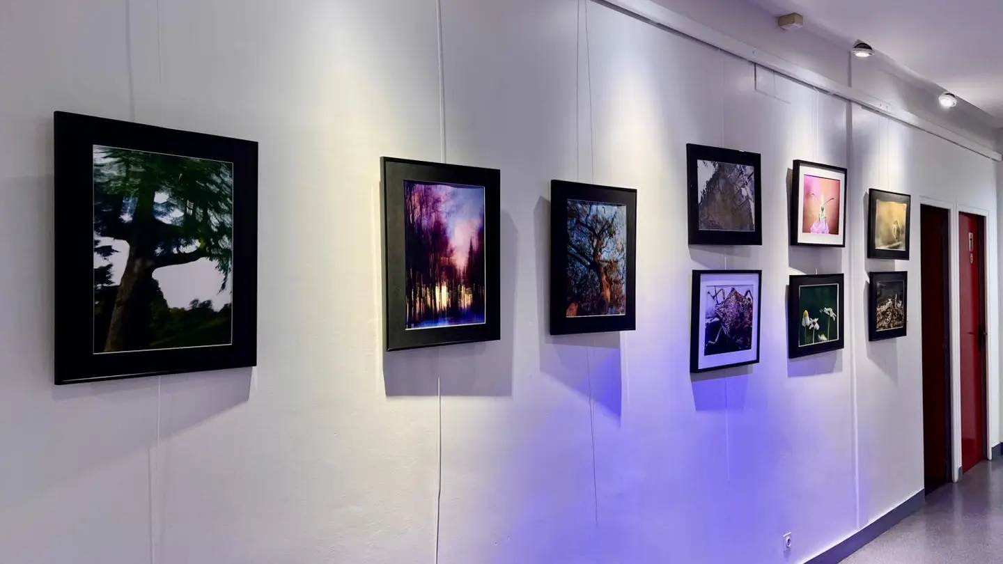 621839191_758004450679348_5236620314335410227_n