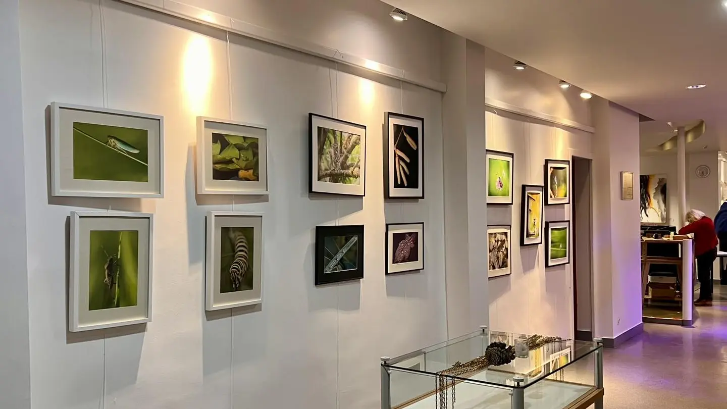 622374022_758004454012681_6067323019330191988_n