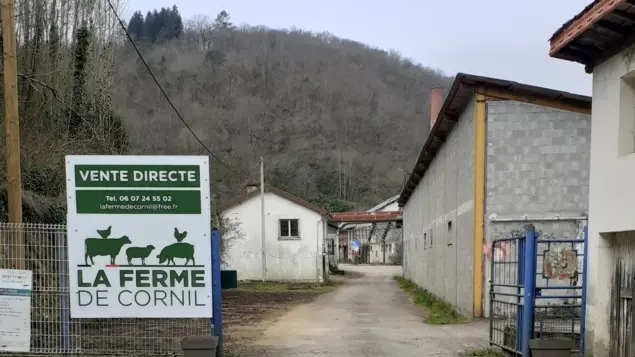 6808bb68d427d466950966