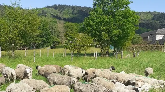 6808bb68df83f360898222