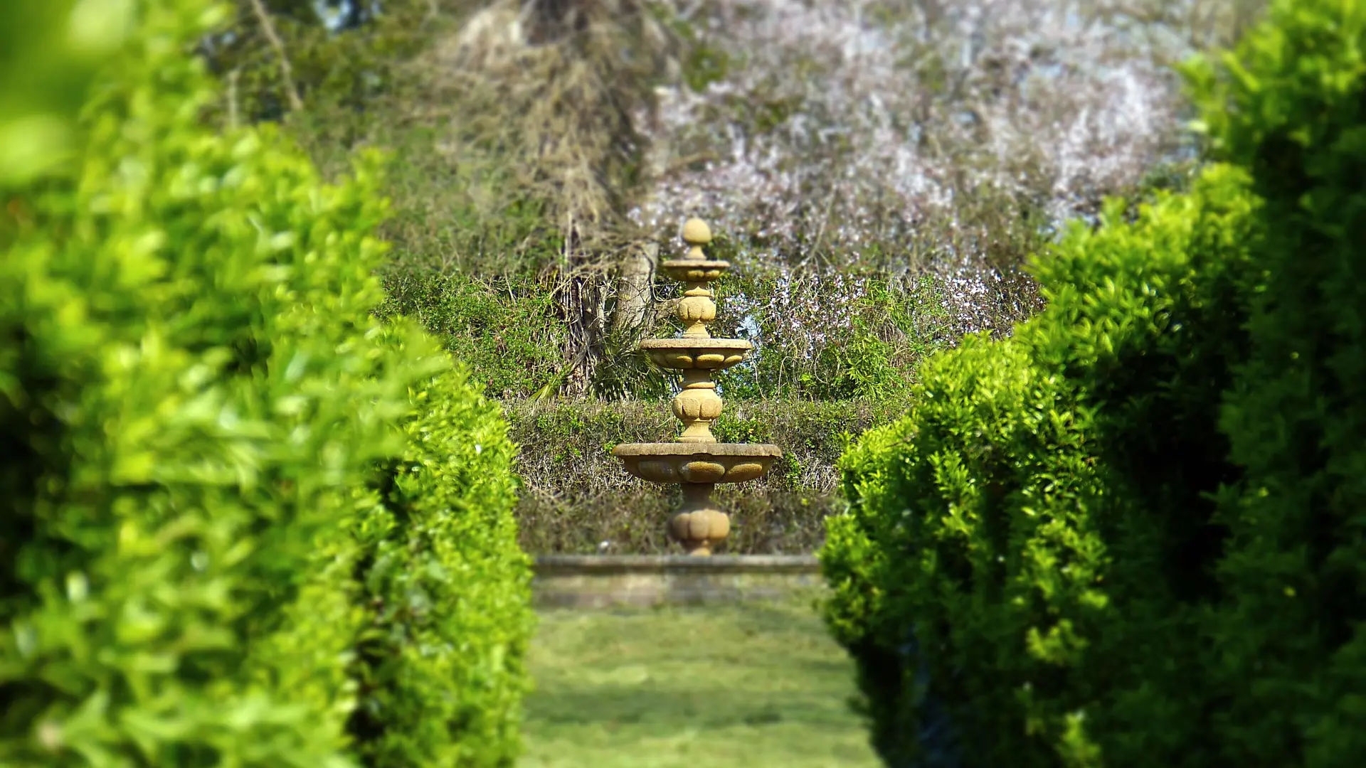Oenotourisme