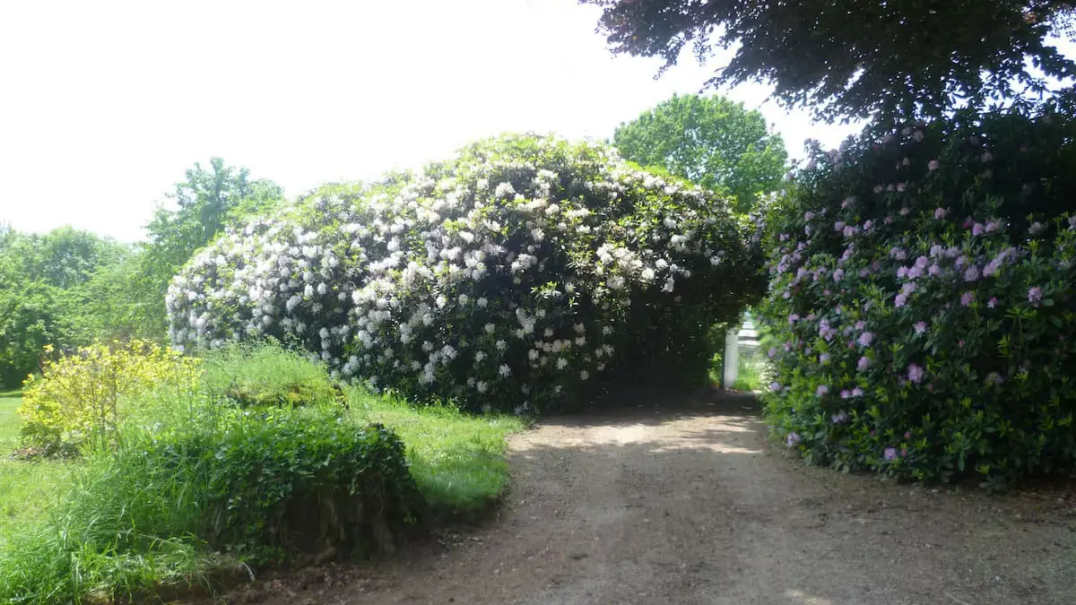 Vue extérieure