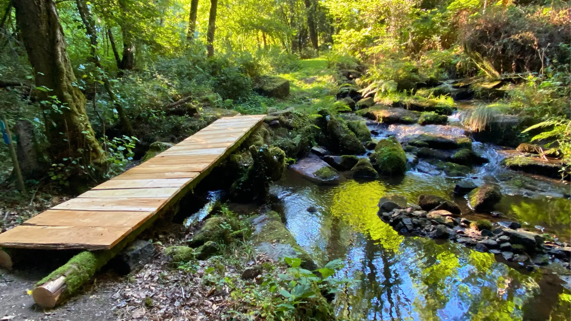 Photos Annonces Appartement - Parcours de marche en forêt