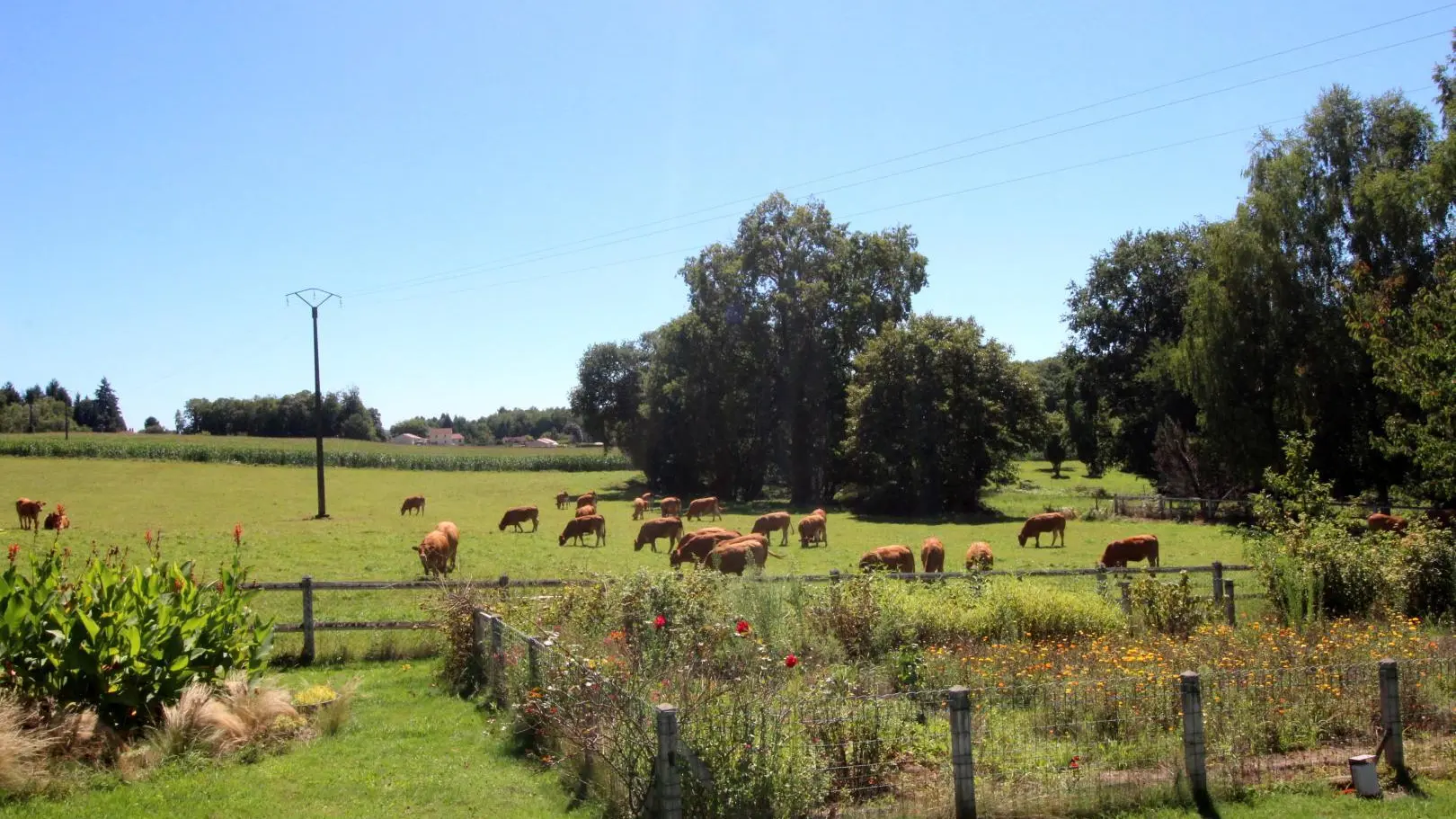 Gîte du Mas du Puy à Ambazac en Haute-Vienne (Nouvelle Aquitaine)_38