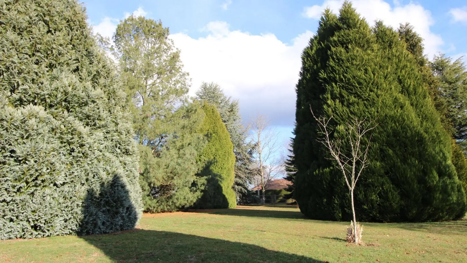 Gîte du Mas du Puy à Ambazac en Haute-Vienne (Nouvelle Aquitaine)_39