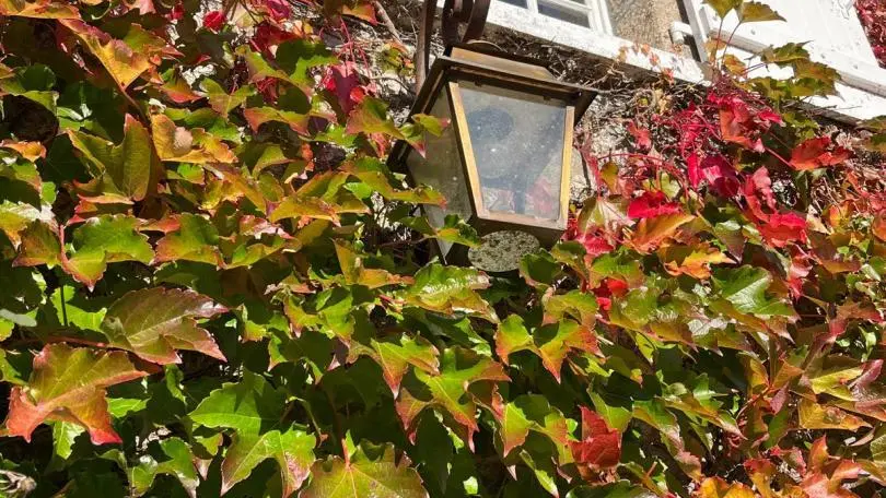 Les Granges du Tais à Ambazac en Haute-Vienne (Nouvelle Aquitaine)_69