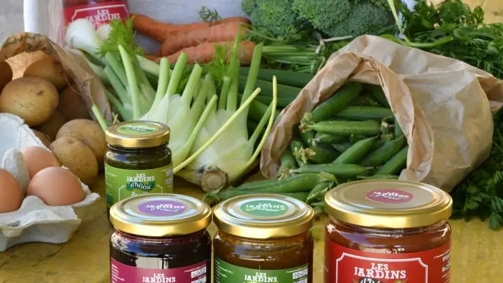 Repartez avec un beau panier de nos produits : légumes, petits fruits, conserves de légumes, confitures, coulis et jus sans oublier les oeufs !_24