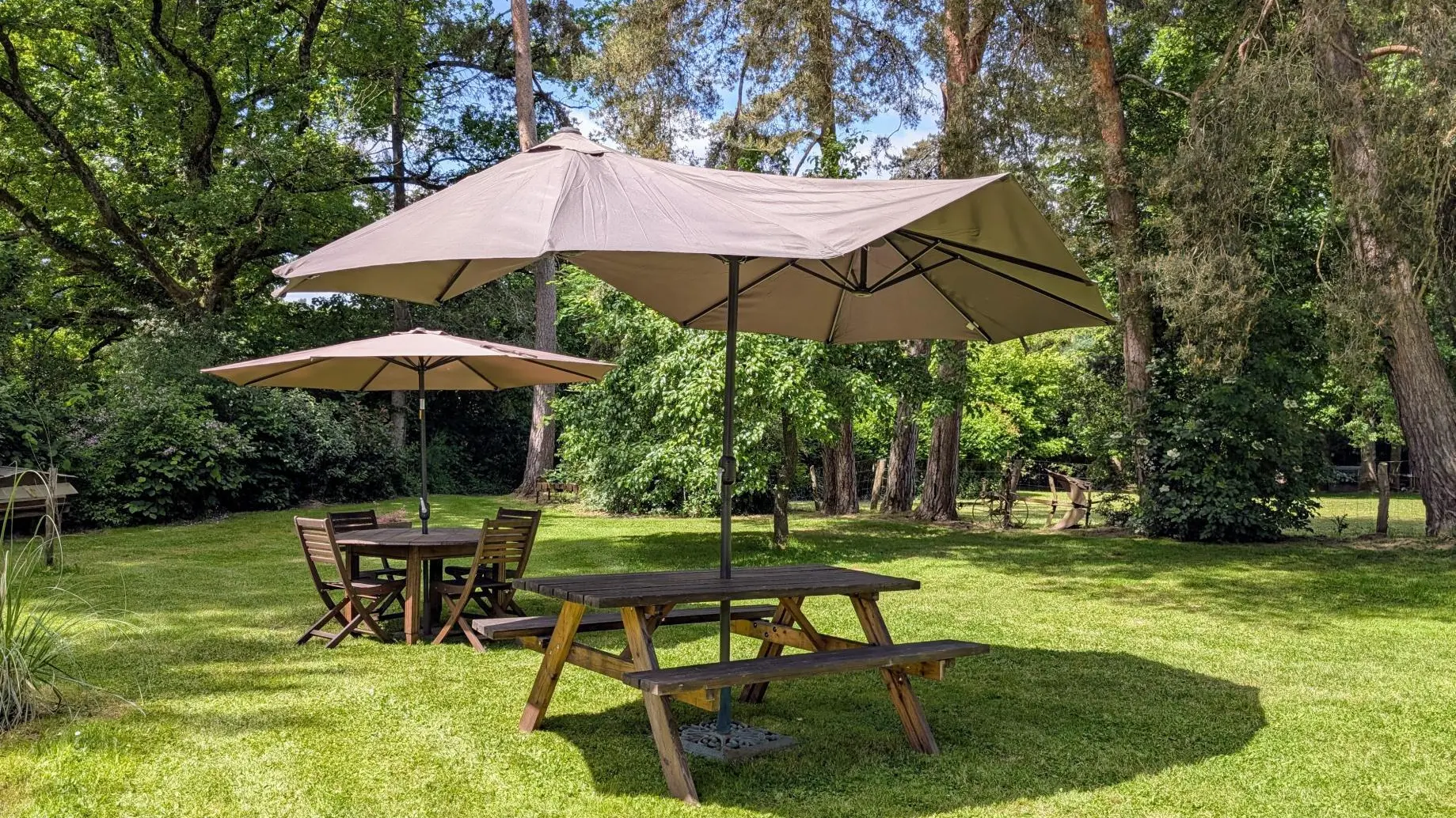 Gite Chalet des Apiculteurs au Montheil commune de Folles en Haute-Vienne_3