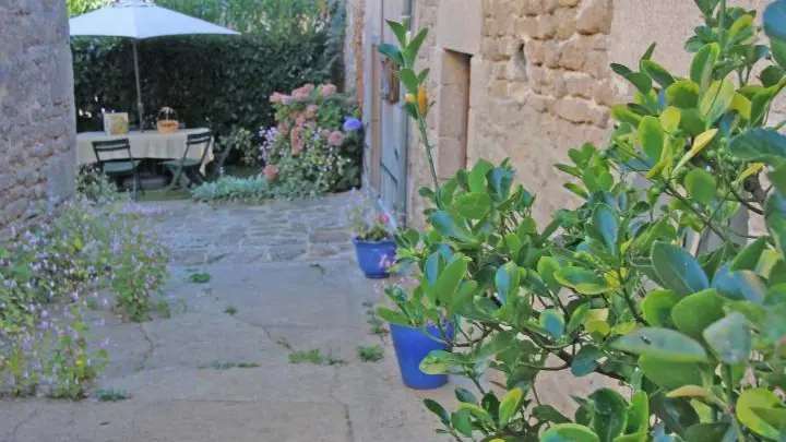 Le gite du Sabotier à Saint Laurent Les Eglises - Nouvelle Aquitaine_29