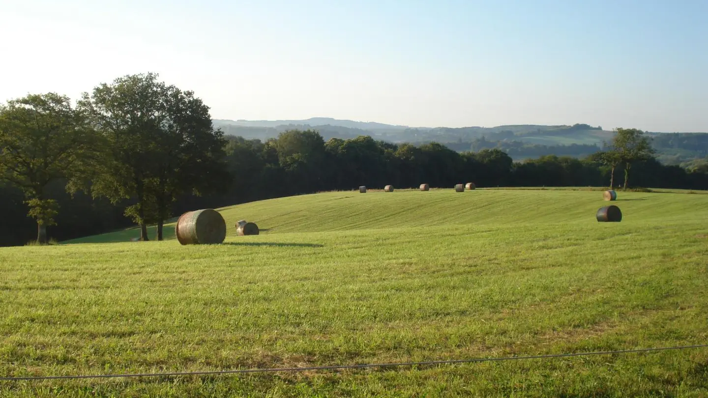 Gîte des Rousses à Saint Laurent les Eglises en Haute-Vienne (Nouvelle Aquitaine). vue du gîte_27