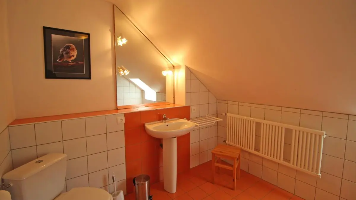 Gite Lasgorceix à Saint Léger La Montagne en Haute-Vienne (Nouvelle Aquitaine)_35