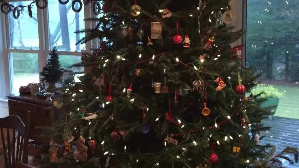 Gite Chabanne à Saint Sylvestre en Haute-Vienne (Nouvelle Aquitaine)_68