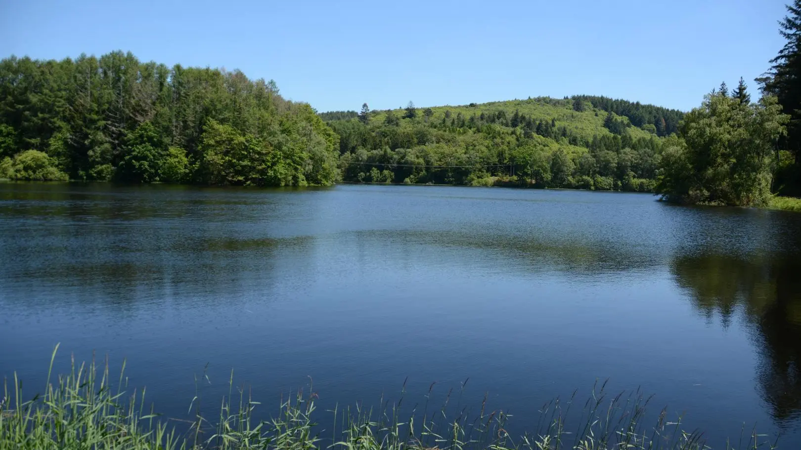 Etang de La Crouzille_72