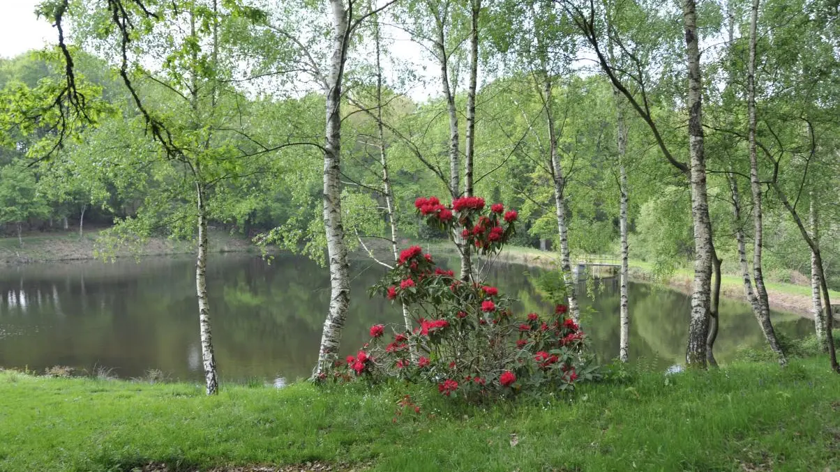 Chambre d'hotes La Ferme De La Besse  à  Les Billanges en Haute-Vienne (Limousin)_5