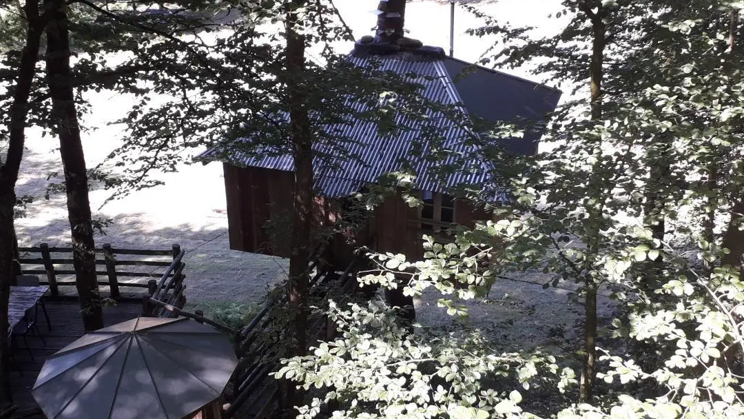 Cabane du Vieux Huraud à Saint Sylvestre en Haute-Vienne (Nouvelle Aquitaine) - grande cabane_24