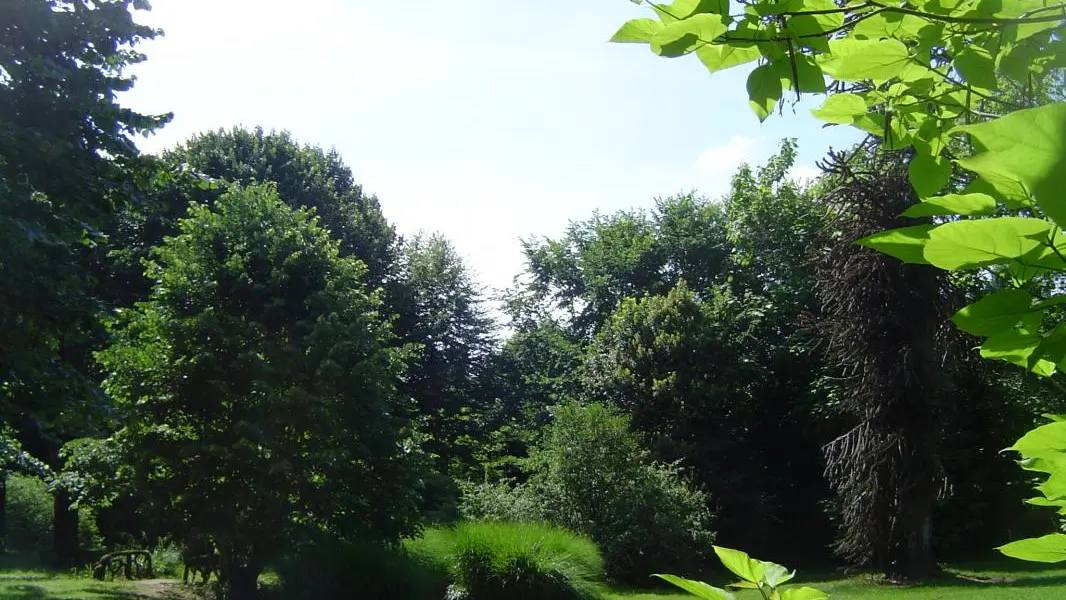 Chambre d'hotes Le Chateau De Saint Roch à Ambazac en Haute-Vienne (Limousin)_32