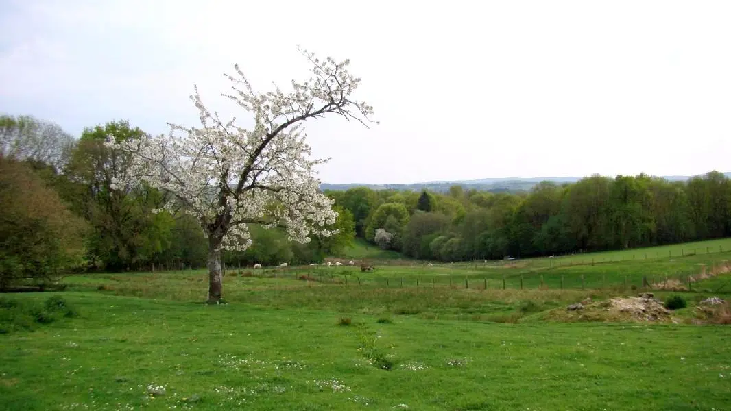 Gite Négrignas à Augne en Haute-Vienne (Limousin en Nouvelle Aquitaine)_14