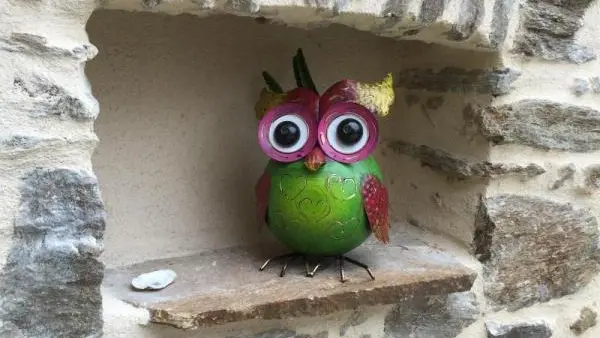 Gite La Petite Ecosse à Chateauneuf La Foret en Haute-Vienne (Limousin en Nouvelle Aquitaine)_22