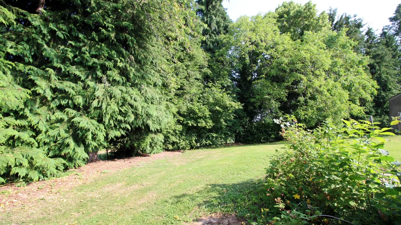 Gite La Petite Ecosse à Chateauneuf La Foret en Haute-Vienne (Limousin en Nouvelle Aquitaine)_3