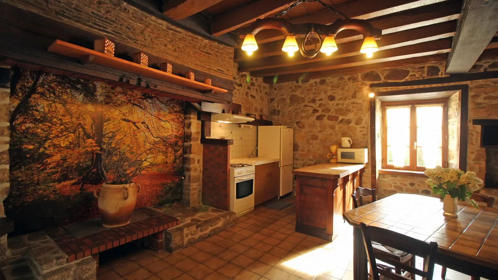 Gite du Chatenet au Chatenet en Dognon en Haute-Vienne (Limousin) - cuisine_5