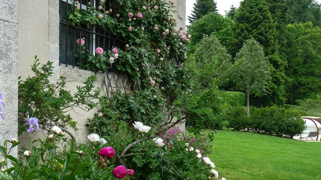 les fleurs_52