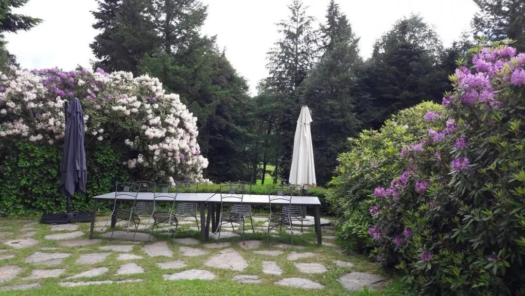 Gite Brenac Jeune à Eymoutiers en Haute-Vienne (Nouvelle Aquitaine) - terrasse_42