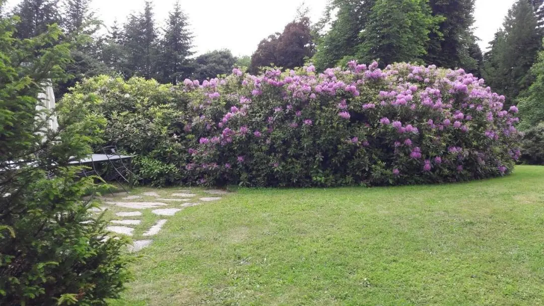Gite Brenac Jeune à Eymoutiers en Haute-Vienne (Nouvelle Aquitaine)_54