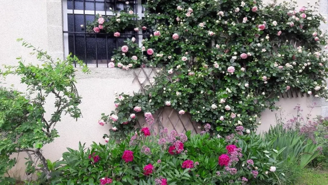 Gite Brenac Jeune à Eymoutiers en Haute-Vienne (Nouvelle Aquitaine)_43