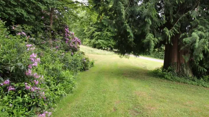 Gite Brenac Jeune à Eymoutiers en Haute-Vienne (Limousin_5