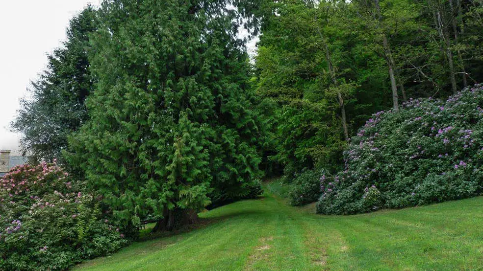 Gite Brenac Jeune à Eymoutiers en Haute-Vienne (Limousin) - le parc_47