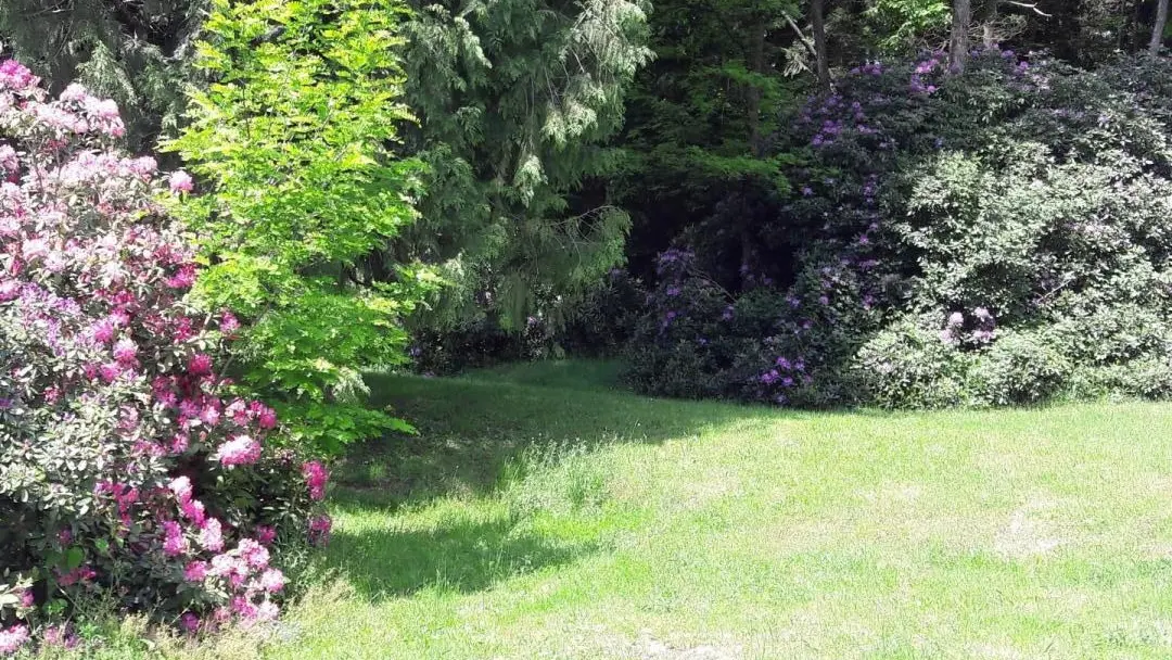 Gite Brenac Jeune à Eymoutiers en Haute-Vienne (Nouvelle Aquitaine)_55