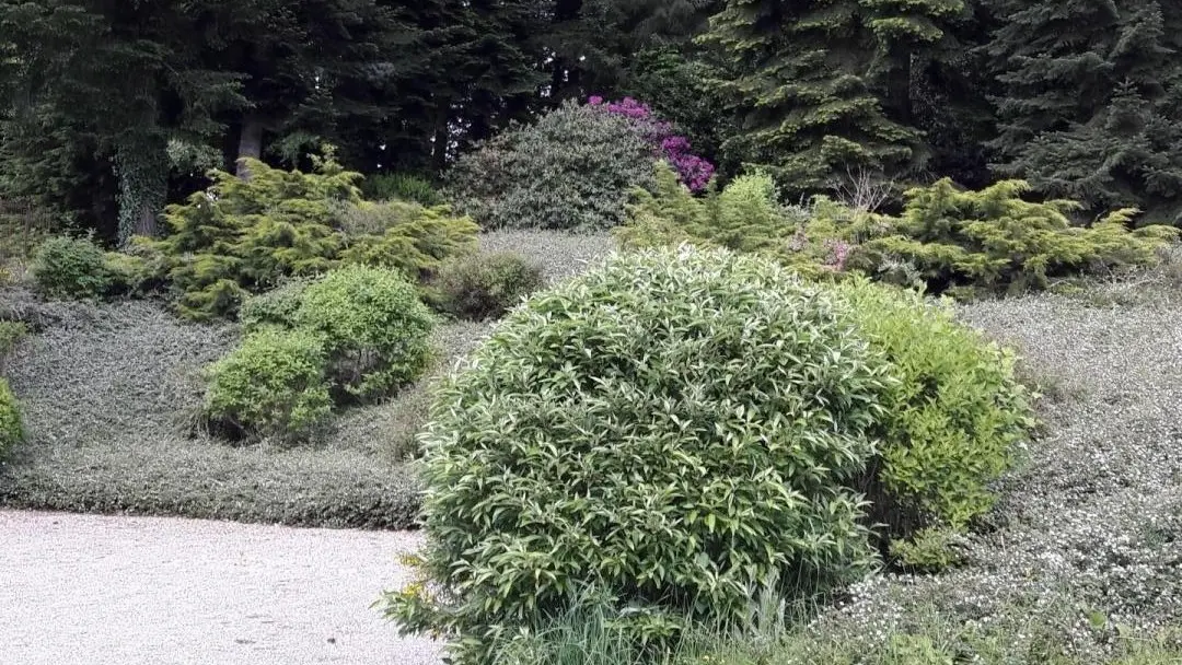 Gite Brenac Jeune à Eymoutiers en Haute-Vienne (Nouvelle Aquitaine)_56