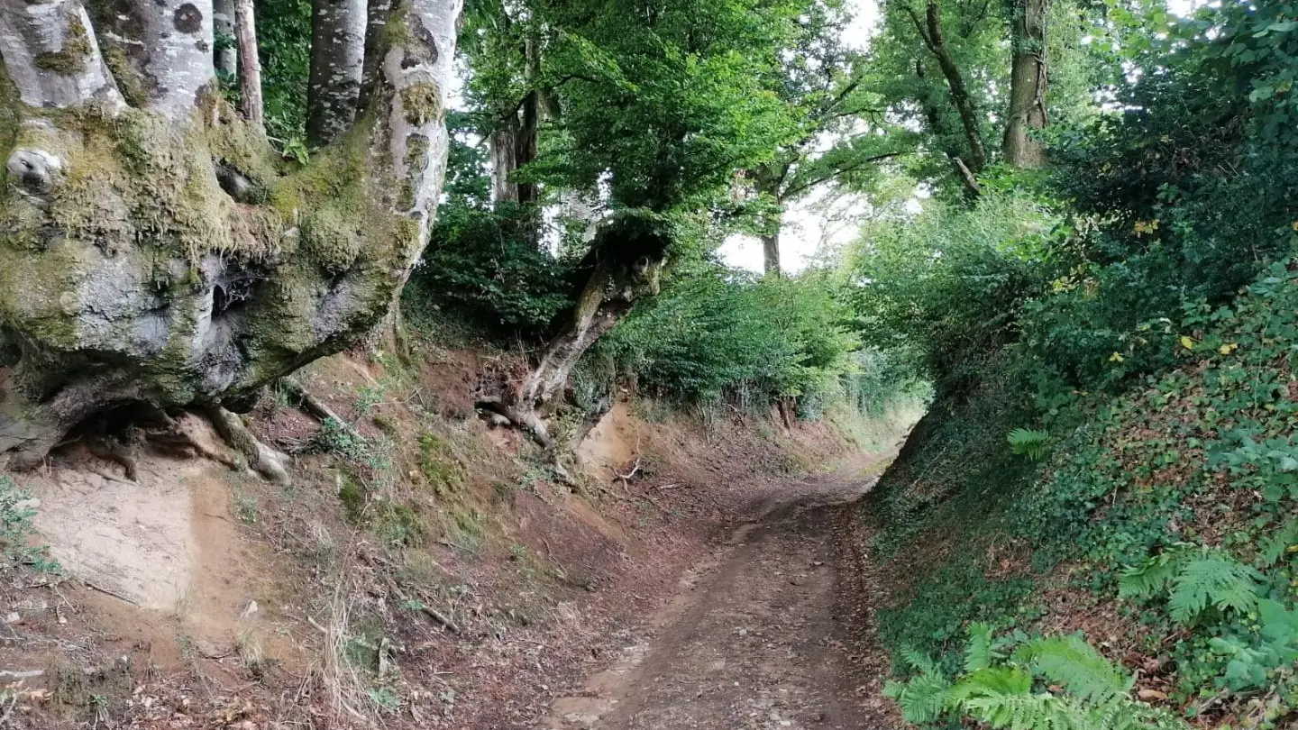 Le gîte à la campagne à Chassagnas sur la commune de La Croisille Sur Briance en Haute-Vienne - chemin de randonnée_22