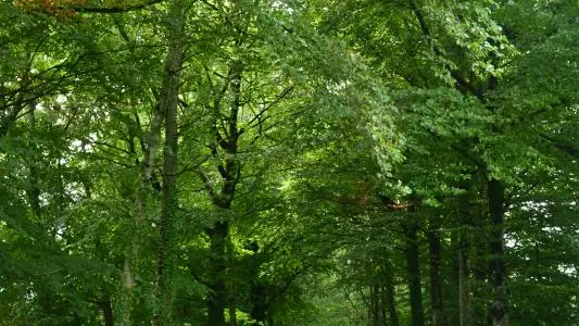 Gite La Maison Du Berger à La Geneytouse  en Haute-Vienne (Limousin en Nouvelle Aquitaine)_2