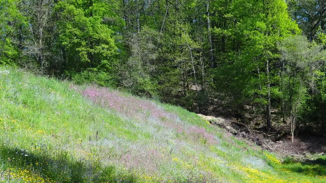 Gite Le Puy Jobert à La Geneytouse  en Haute-Vienne (Nouvelle Aquitaine)_32