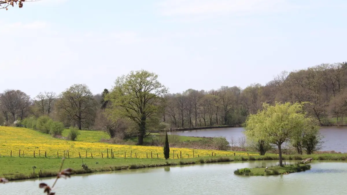 Gite Le Duveix à Linards  en Haute-Vienne (Limousin en Nouvelle Aquitaine)_23