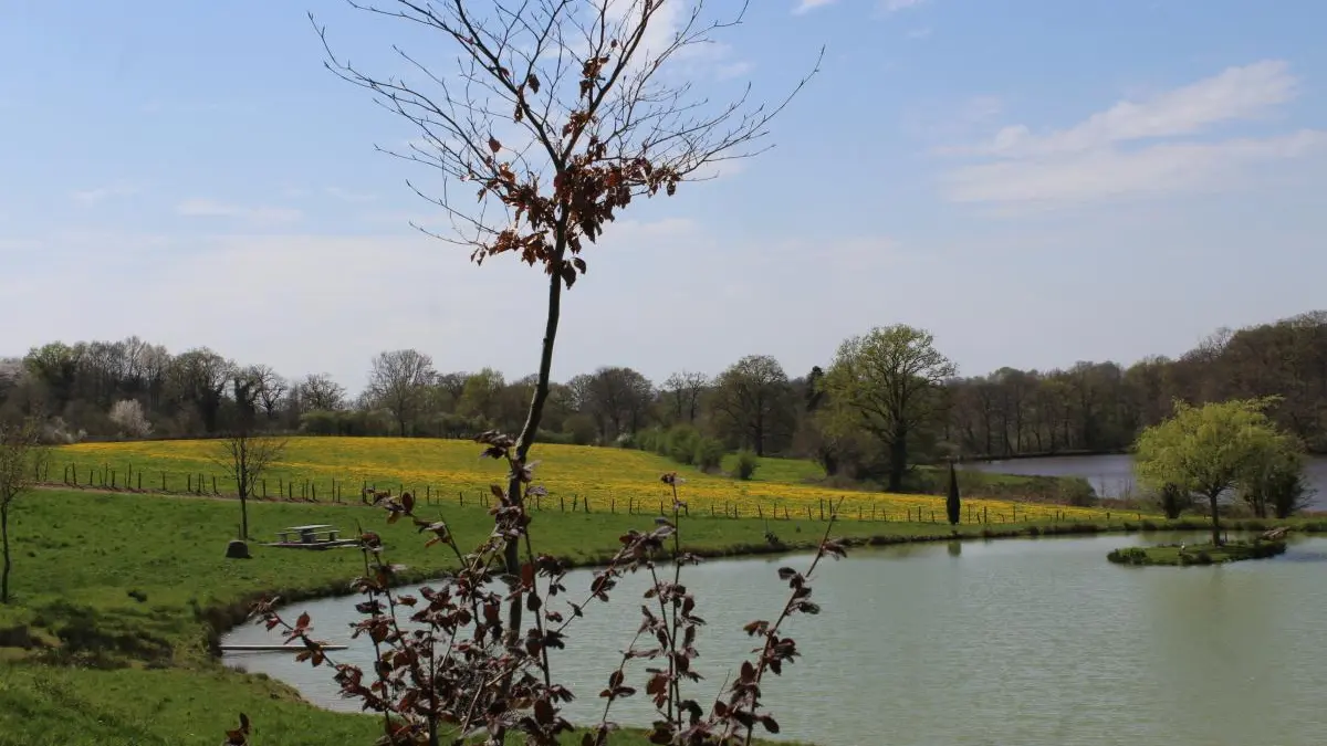 Gite Le Duveix à Linards  en Haute-Vienne (Limousin en Nouvelle Aquitaine)_24