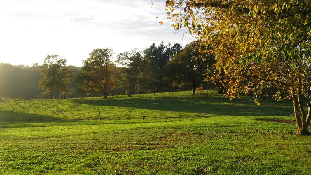 Gite Le Congé  à Moissannes  en Haute-Vienne (Limousin en Nouvelle Aquitaine)_22