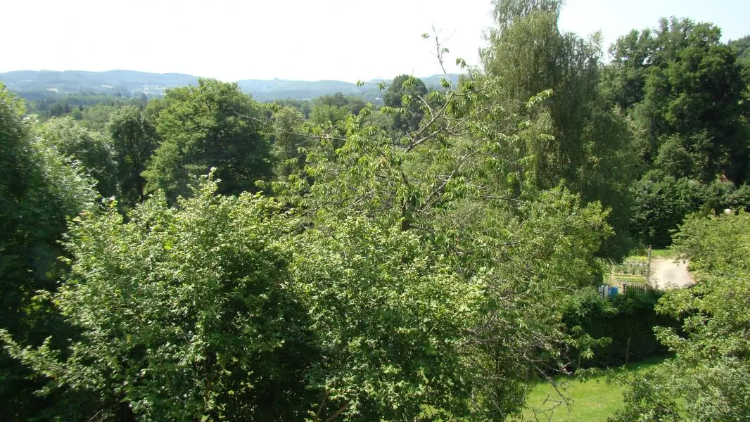 Gite Claveyrolas à Nedde  en Haute-Vienne (Limousin en Nouvelle Aquitaine)_23