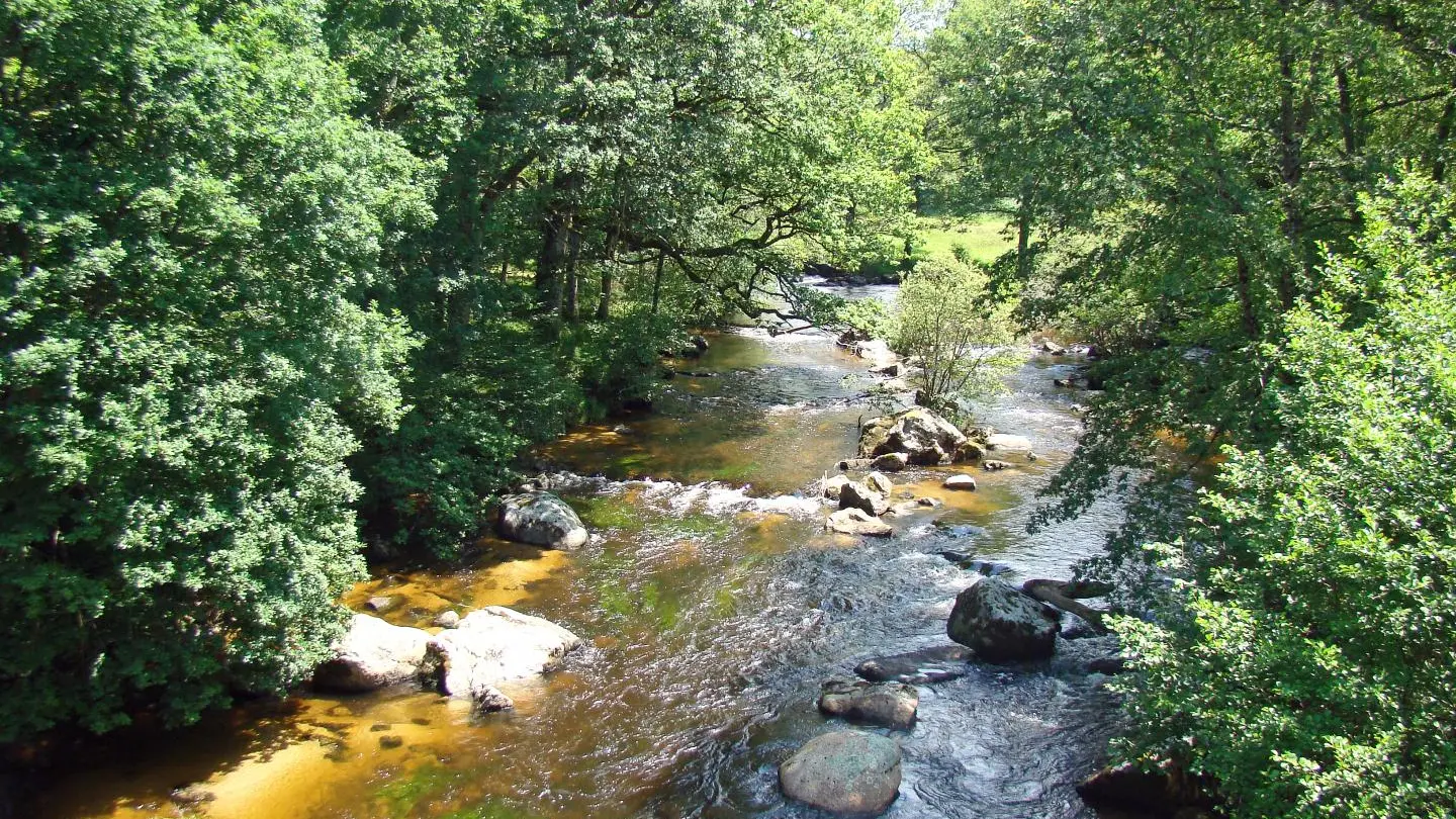 Gite Les Soleils à Nedde  en Haute-Vienne (Limousin en Nouvelle Aquitaine). La Vienne._23