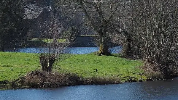 Gite La Forge à Peyrat Le Château en Haute-Vienne (Limousin en Nouvelle Aquitaine). Etang de Peyrat le Château._15