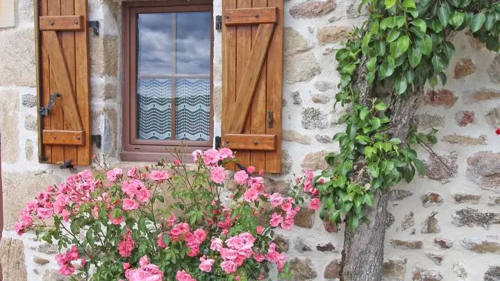 Gite Artin à Peyrat Le Chateau en Haute-Vienne _3