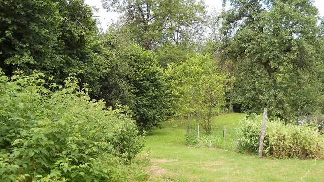 Gite  Le Petit Grammont à Peyrat Le Chateau en Haute-Vienne (Limousin)_21