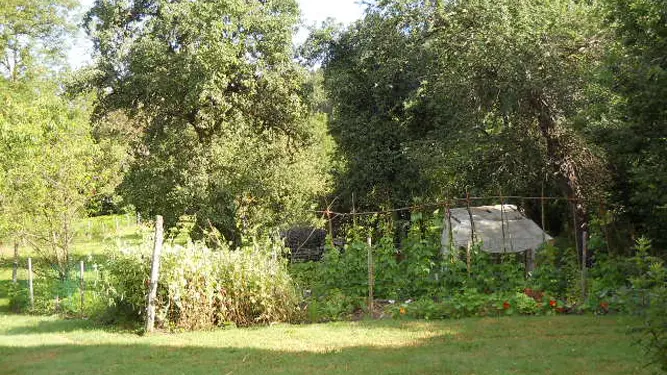 Gite  Le Petit Grammont à Peyrat Le Chateau en Haute-Vienne (Limousin)_19