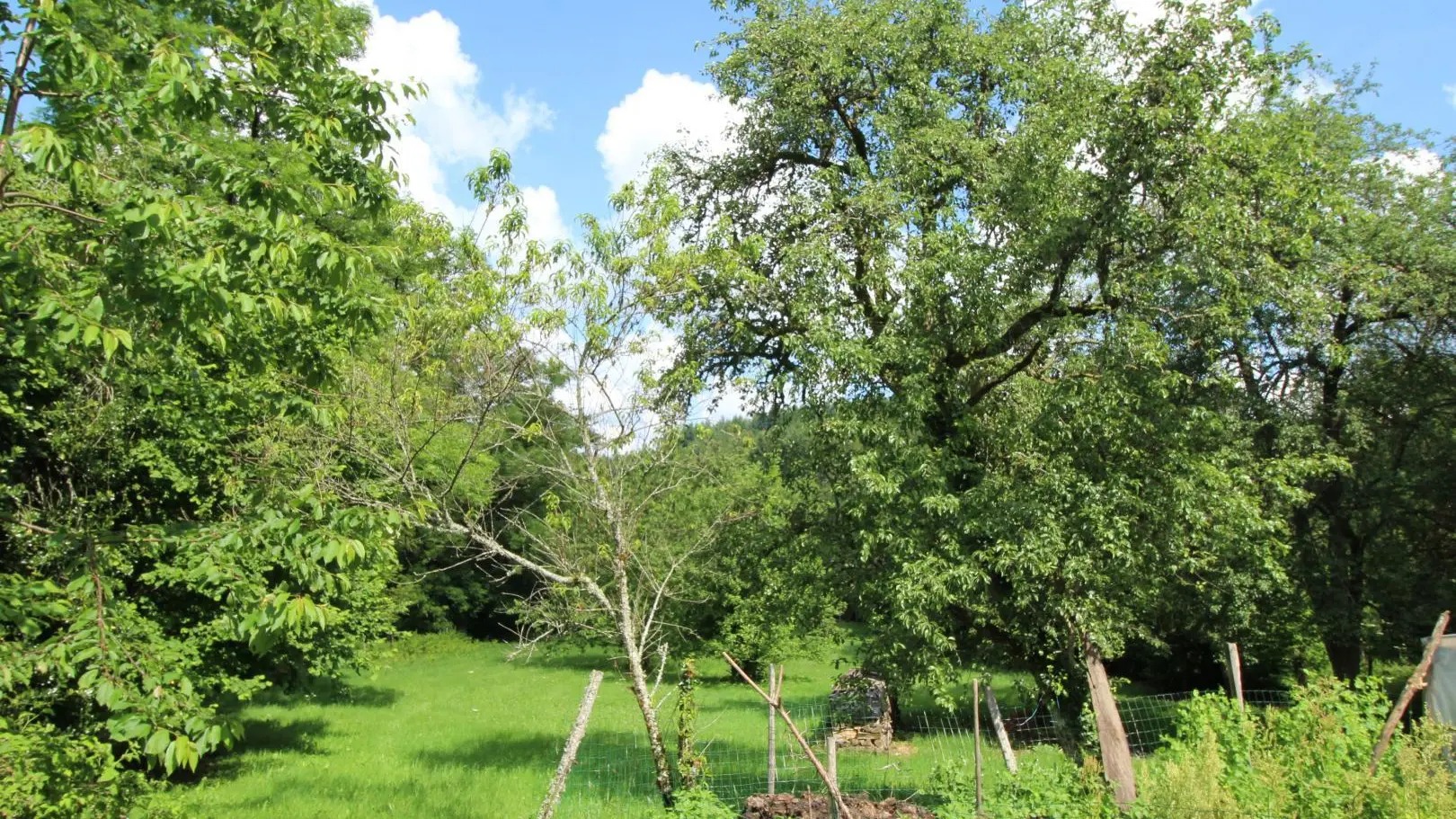 Gite  Le Petit Grammont à Peyrat Le Chateau en Haute-Vienne (Limousin)_27